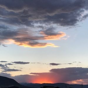 Meet your Posher, Bailey